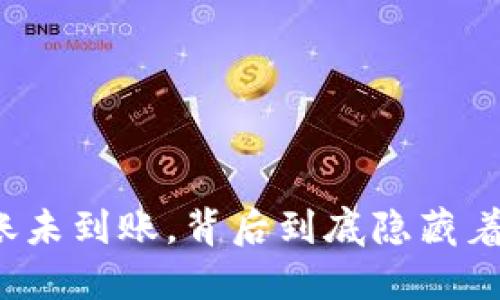 TP钱包转账未到账，背后到底隐藏着什么秘密？