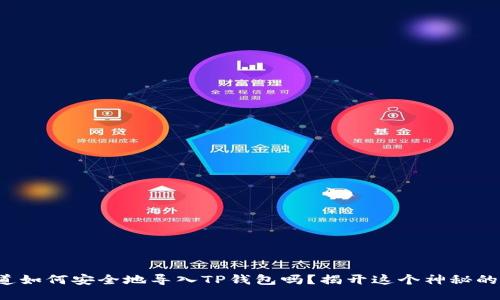 你知道如何安全地导入TP钱包吗？揭开这个神秘的过程！