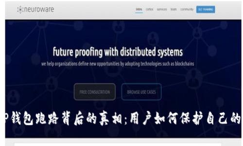揭开TP钱包跑路背后的真相：用户如何保护自己的资产？